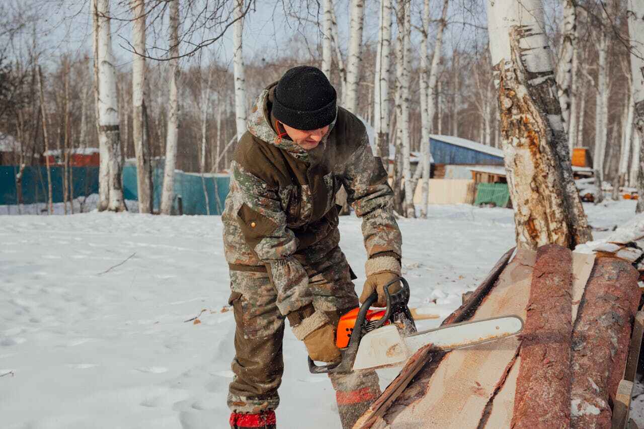 Professional Tree Service in Candor, NC